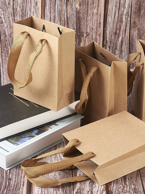 Logotipo personalizado Bolsas de regalo de papel Manija retorcida Para todas las ocasiones Envasado de calzado / ropa