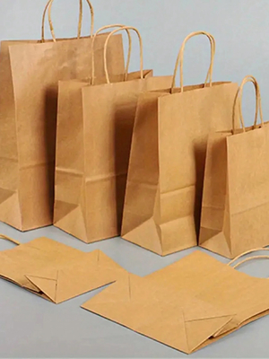 Logotipo personalizado Bolsa de embalaje de papel ligera con fondo cuadrado y mango retorcido